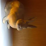 Hotel le Lapin Blanc
